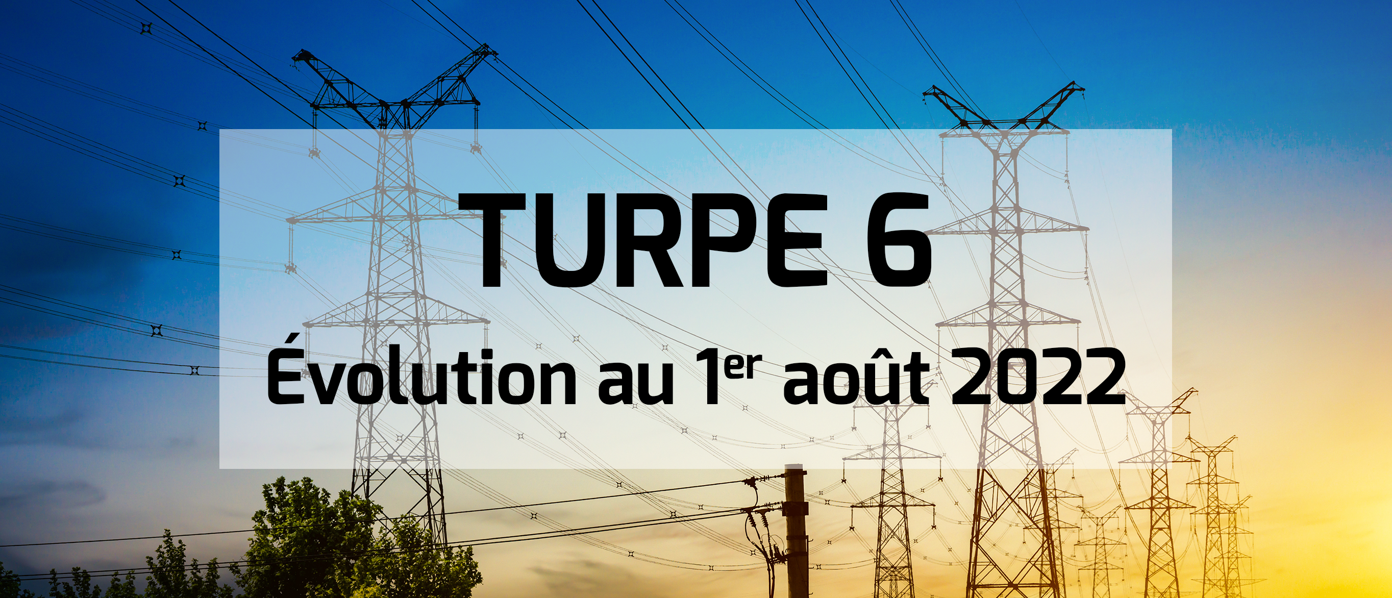 evolution-turpe-6