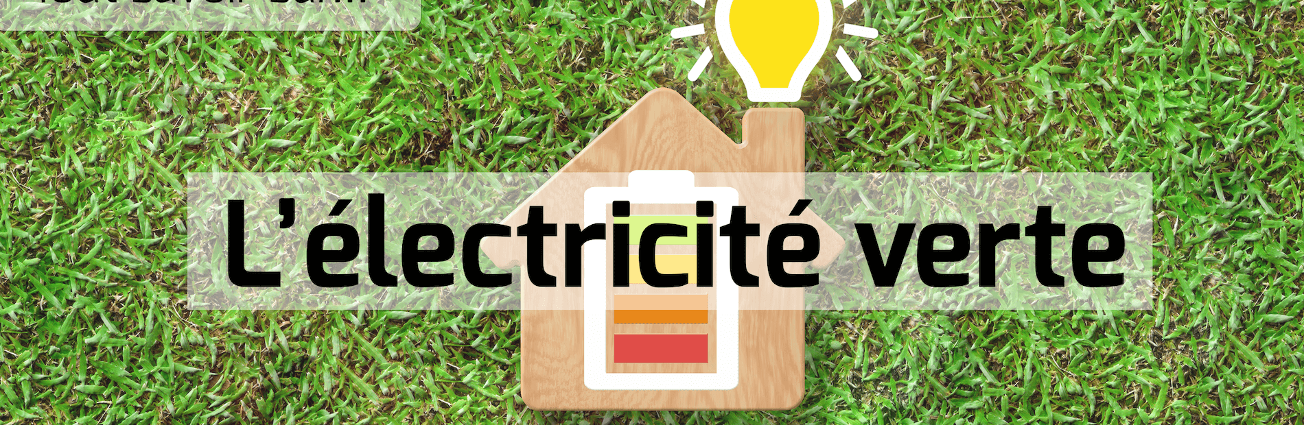 Tout savoir sur l'électricité verte