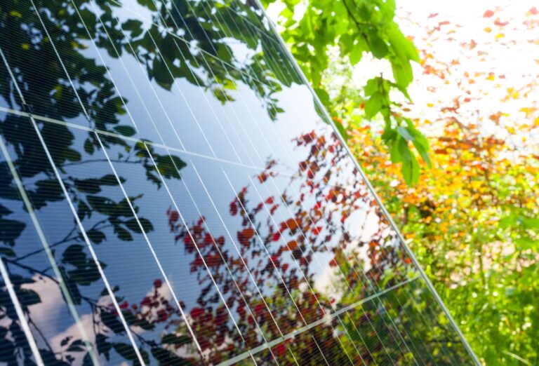 Programmation Pluriannuelle de l’Énergie (PPE)