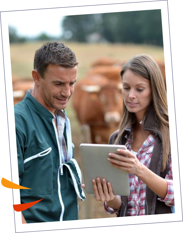 Ils ont fait le choix de Sélia : nos clients, avis et témoignages