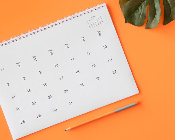 calendar-with-pencil-monstera-leaf